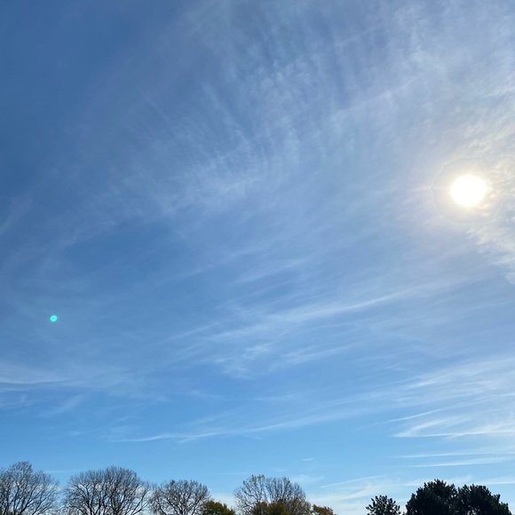 Meet your Posher, Shalay - Picture 1 of 1